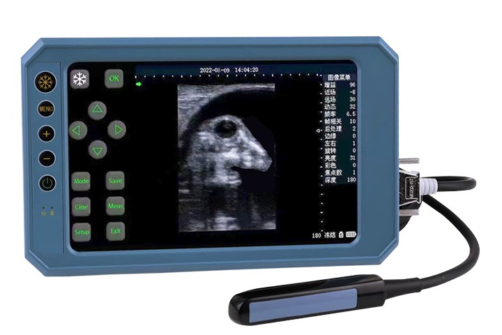 BU403T 手持式 B 型超音波掃描儀，附觸控螢幕和 6.5MHz 獸醫用直腸線陣探頭